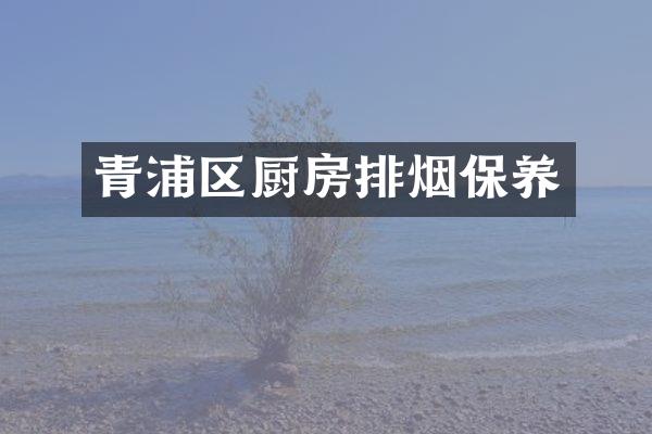 青浦区厨房排烟保养