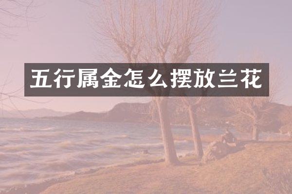 五行属金怎么摆放兰花