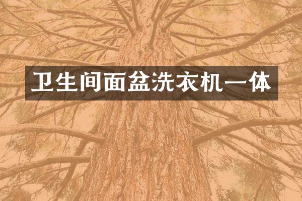 卫生间面盆洗衣机一体