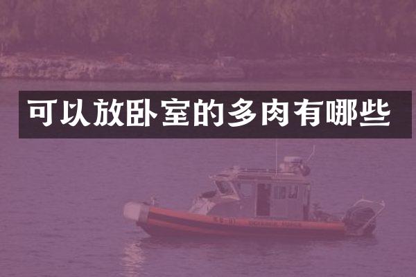 可以放卧室的多肉有哪些