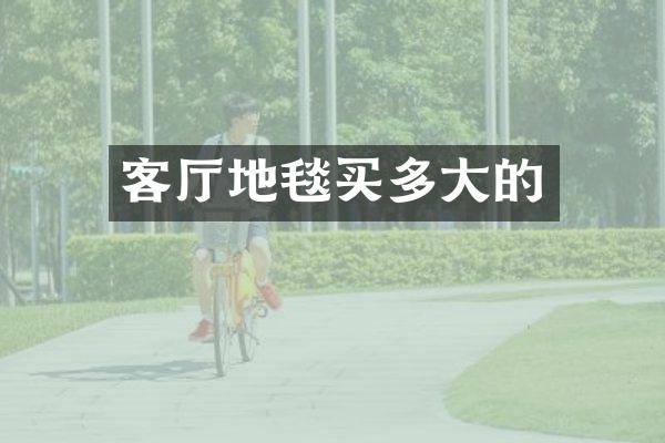 客厅地毯买多大的