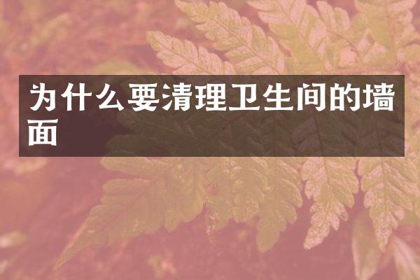 为什么要清理卫生间的墙面