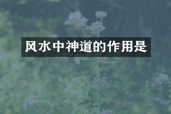 风水中神道的作用是