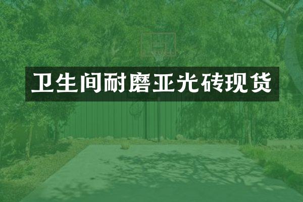 卫生间耐磨亚光砖现货