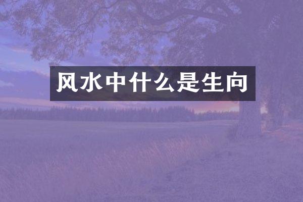 风水中什么是生向
