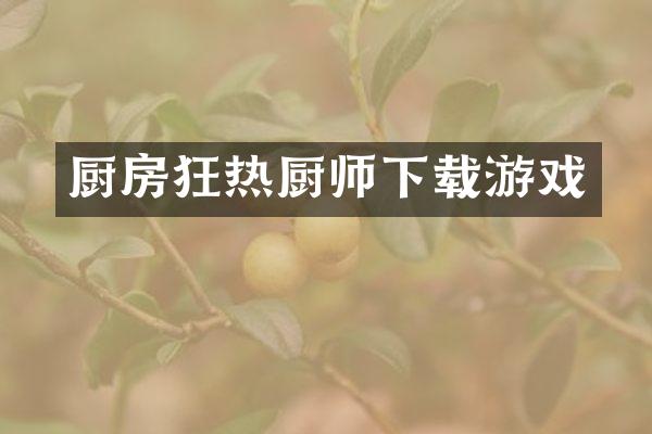 厨房狂热厨师下载游戏