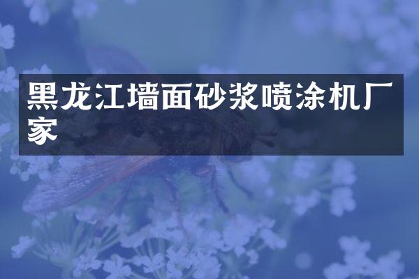 黑龙江墙面砂浆喷涂机厂家