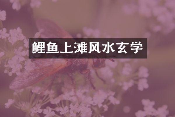 鲤鱼上滩风水玄学