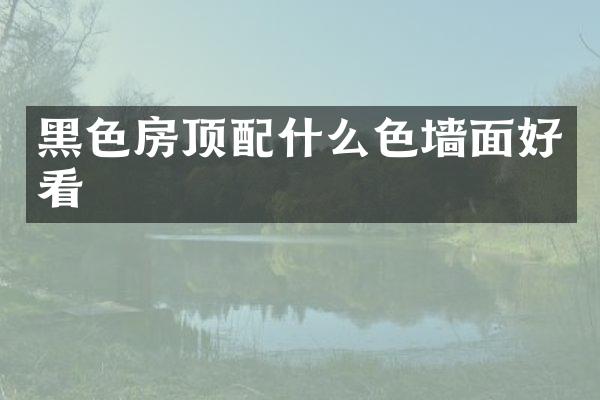 黑色房顶配什么色墙面好看