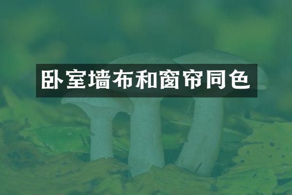 卧室墙布和窗帘同色