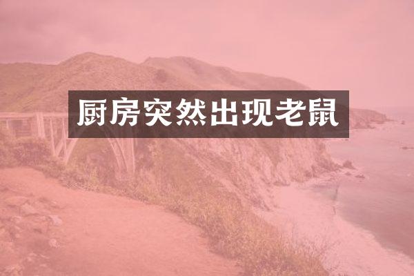 厨房突然出现老鼠