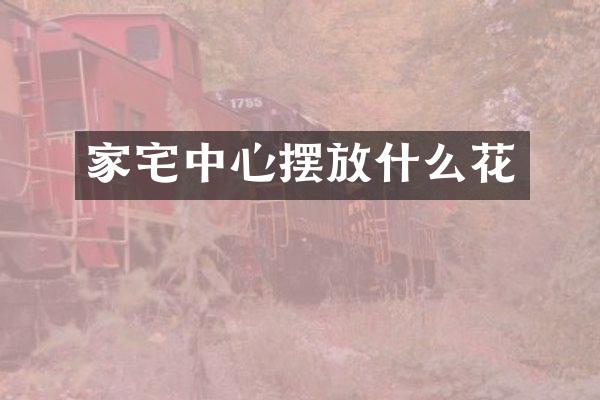 家宅中心摆放什么花