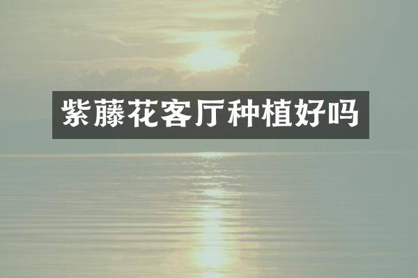 紫藤花客厅种植好吗