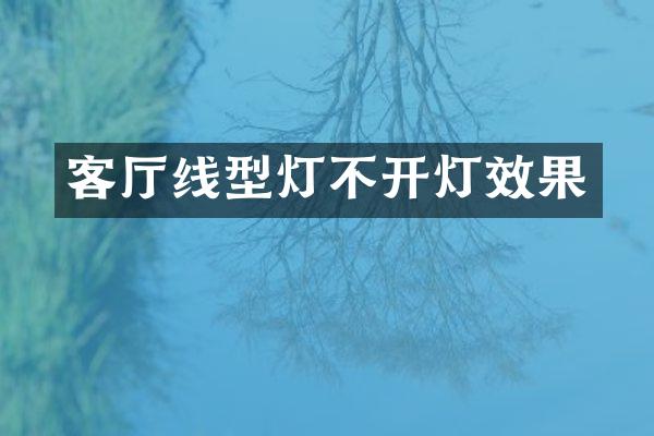 客厅线型灯不开灯效果