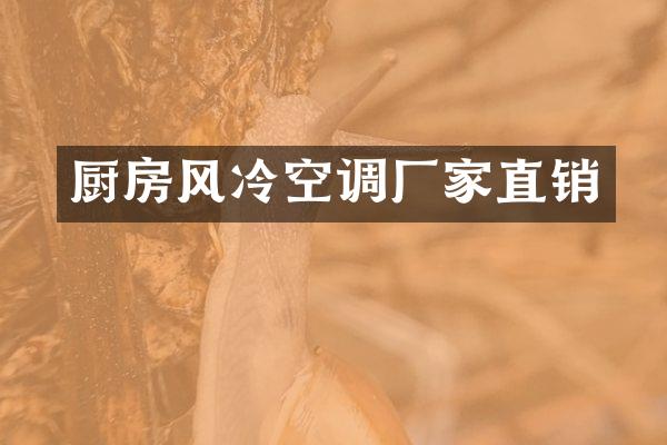 厨房风冷空调厂家直销