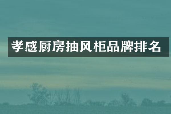 孝感厨房抽风柜品牌排名