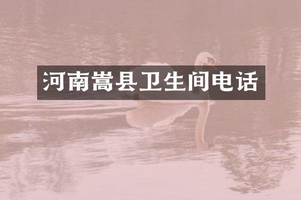 河南嵩县卫生间电话