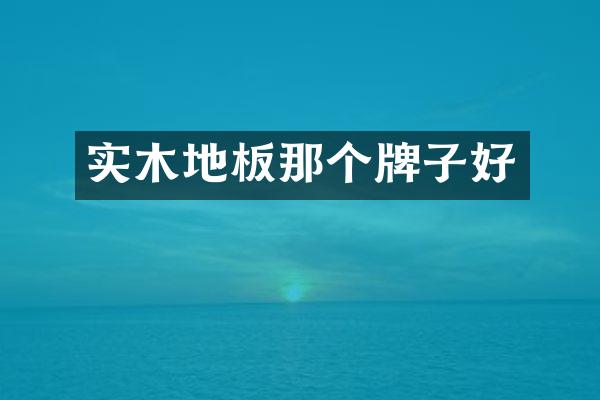 实木地板那个牌子好