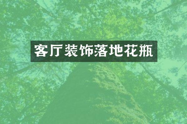 客厅装饰落地花瓶