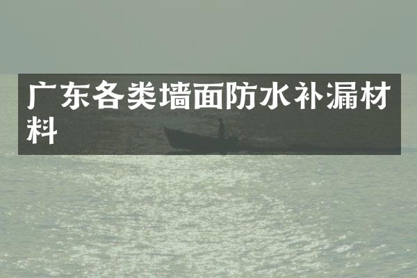 广东各类墙面防水补漏材料