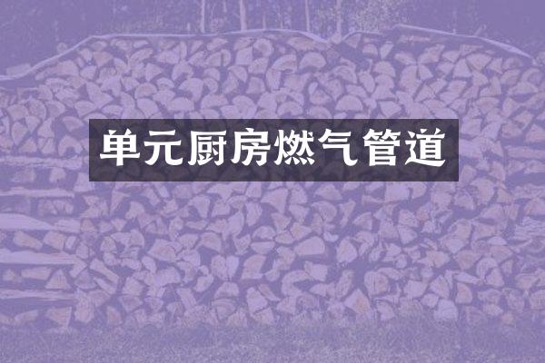单元厨房燃气管道