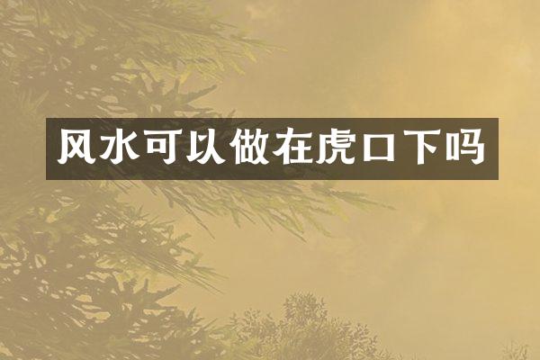 风水可以做在虎口下吗