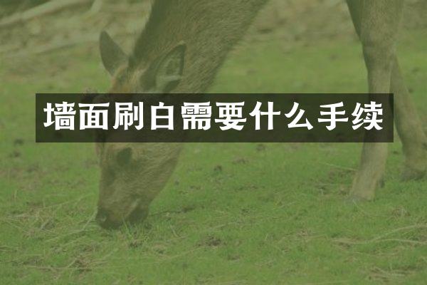 墙面刷白需要什么手续