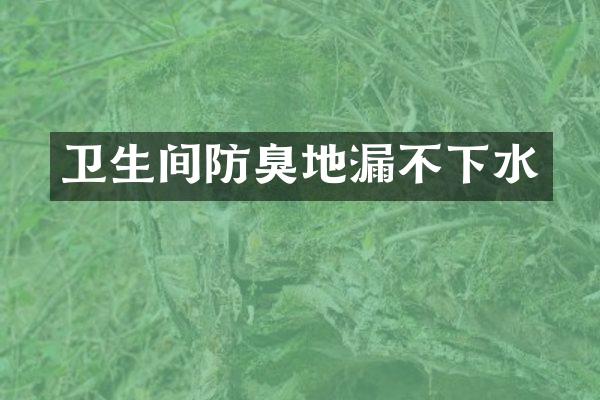 卫生间防臭地漏不下水