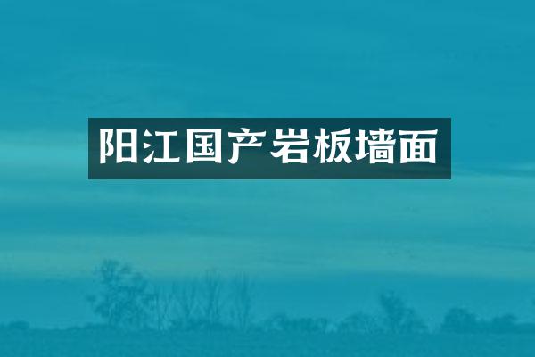 阳江国产岩板墙面