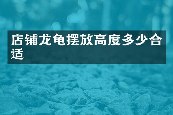 店铺龙龟摆放高度多少合适