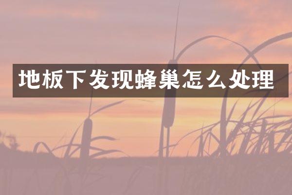 地板下发现蜂巢怎么处理