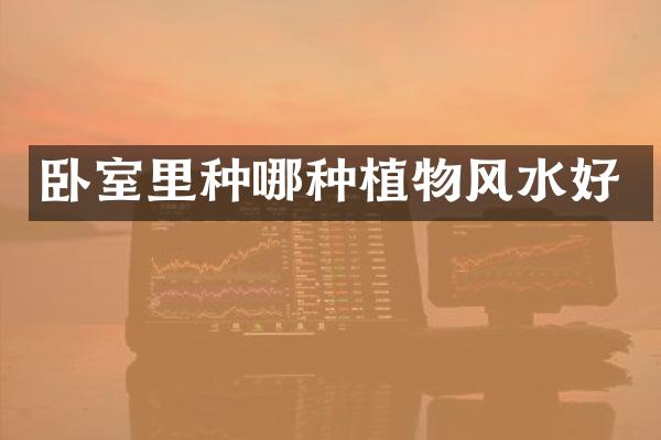 卧室里种哪种植物风水好