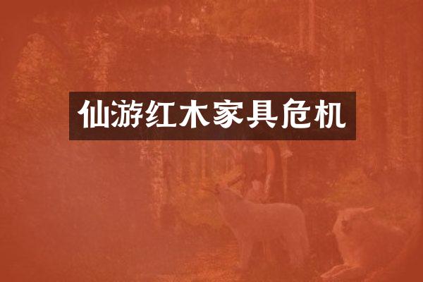 仙游红木家具危机