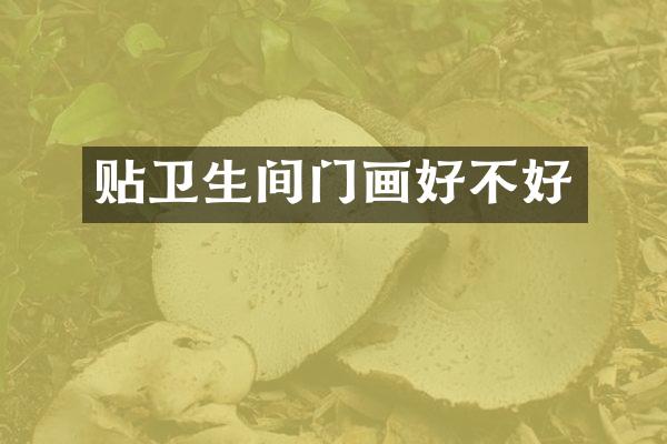 贴卫生间门画好不好