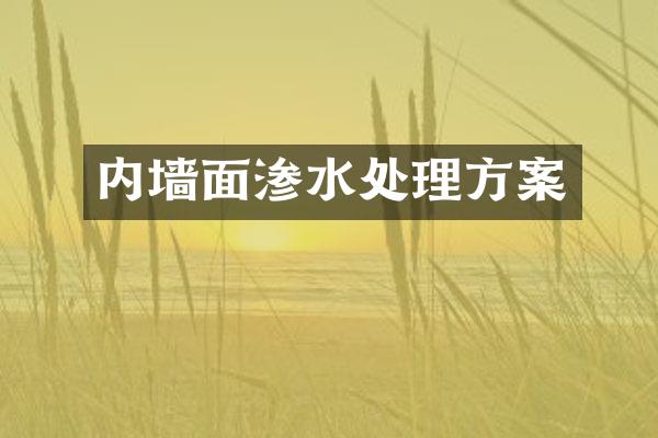 内墙面渗水处理方案
