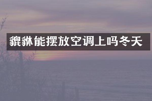 貔貅能摆放空调上吗冬天