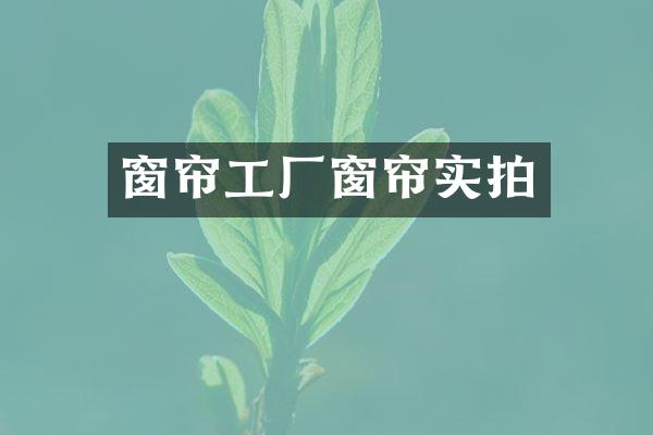 窗帘工厂窗帘实拍