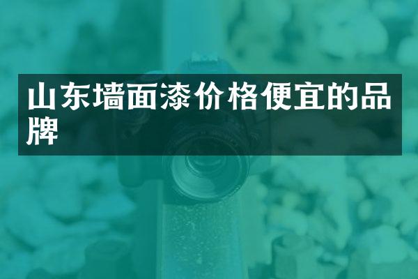 山东墙面漆价格便宜的品牌