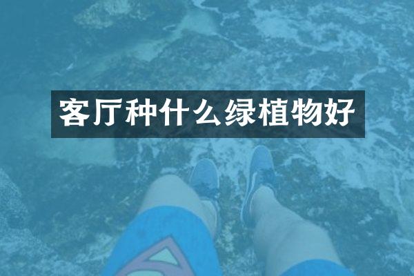 客厅种什么绿植物好