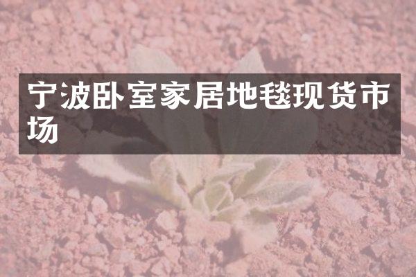 宁波卧室家居地毯现货市场