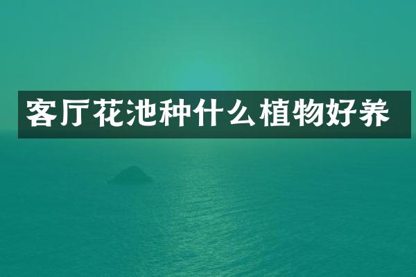客厅花池种什么植物好养