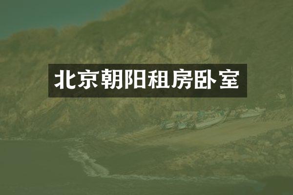北京朝阳租房卧室