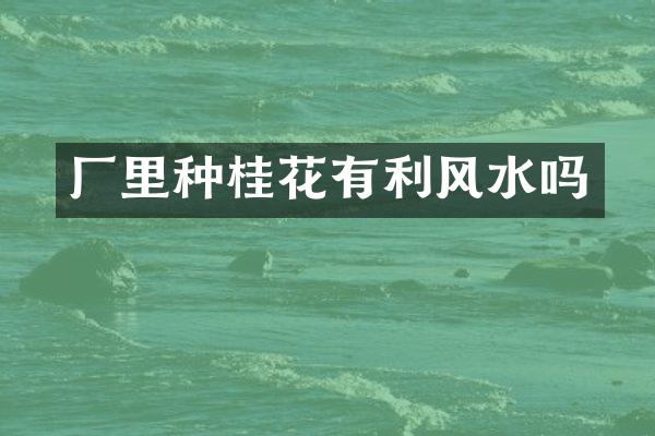厂里种桂花有利风水吗