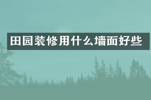 田园装修用什么墙面好些