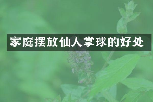 家庭摆放仙人掌球的好处