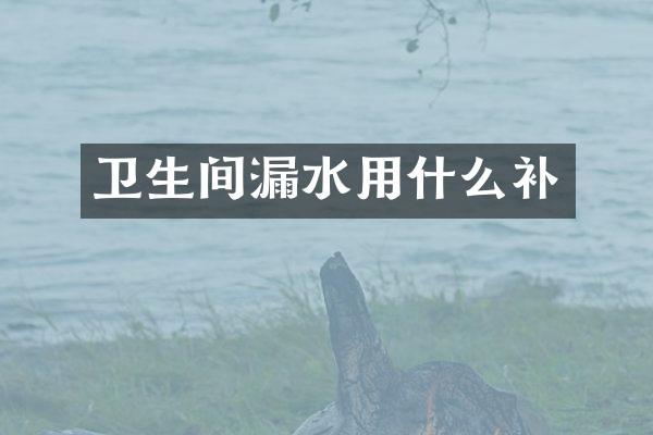 卫生间漏水用什么补