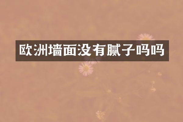 欧洲墙面没有腻子吗吗