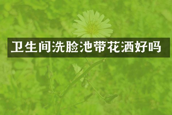 卫生间洗脸池带花洒好吗