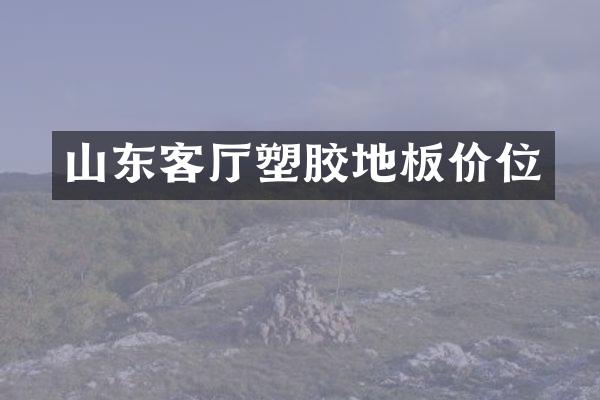 山东客厅塑胶地板价位