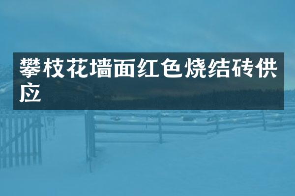攀枝花墙面红色烧结砖供应